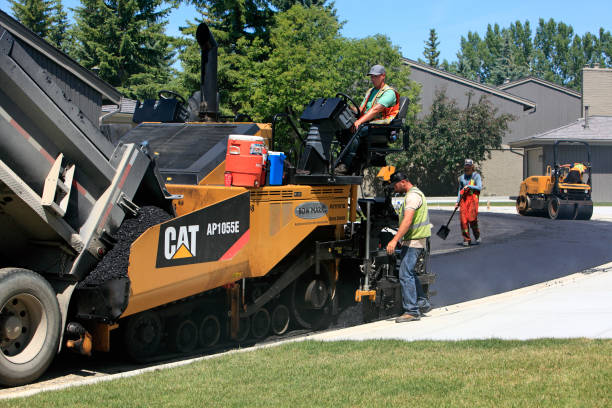 Best Driveway Paving Contractor  in Newton, MS