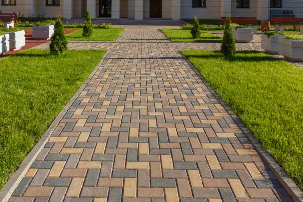 Best Local Driveway Pavers  in Newton, MS